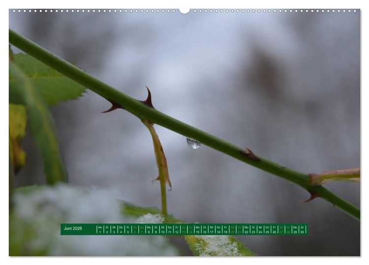 Produktbild: Unterwegs im Deister (hochwertiger Premium Wandkalender 2026 DIN A2 quer), Kunstdruck in Hochglanz