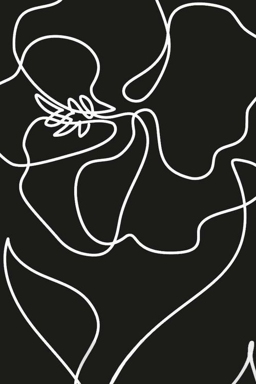 Produktbild: The Invisible Wild