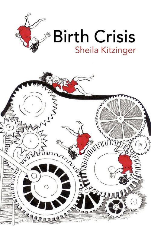 Produktbild: Birth Crisis