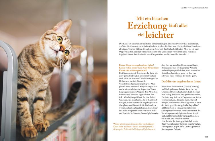Produktbild: Katzensprache
