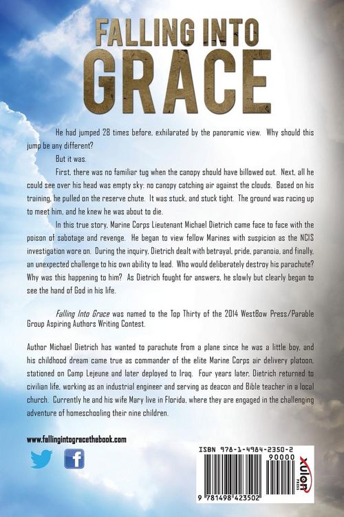 Produktbild: Falling Into Grace
