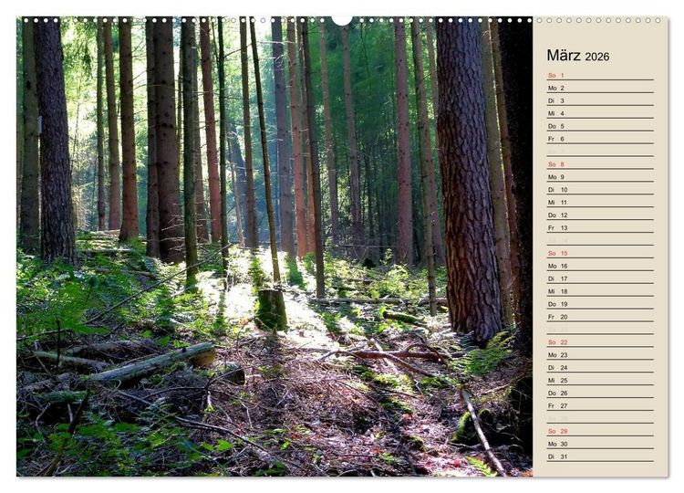 Produktbild: Bad Orb - Romantik im Spessart (hochwertiger Premium Wandkalender 2026 DIN A2 quer), Kunstdruck in Hochglanz