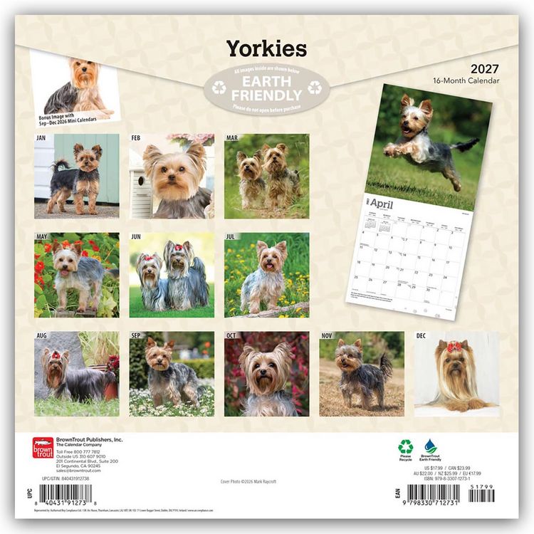 Produktbild: Yorkshire Terriers &ndash; Yorkshire Terrier &ndash; Yorkies 2027 &ndash; 16-Monatskalender