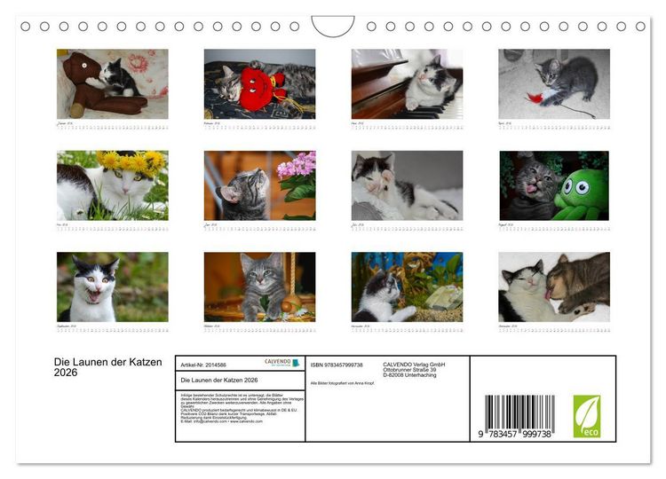Produktbild: Die Launen der Katzen 2026 (Wandkalender 2026 DIN A4 quer), CALVENDO Monatskalender