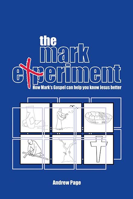 Produktbild: The Mark Experiment