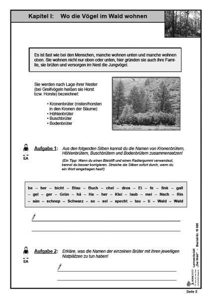 Produktbild: Lernwerkstatt Wald