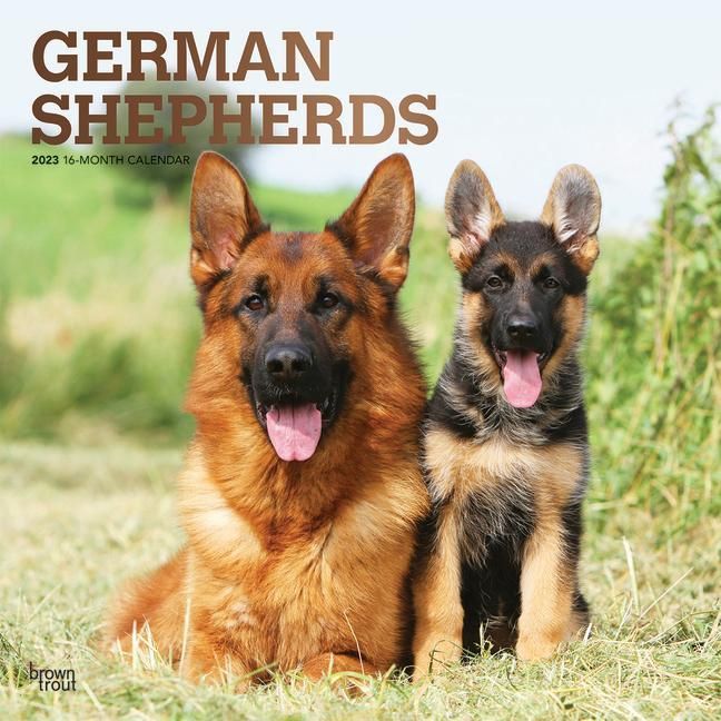 Produktbild: German Shepherds 2023 Square F