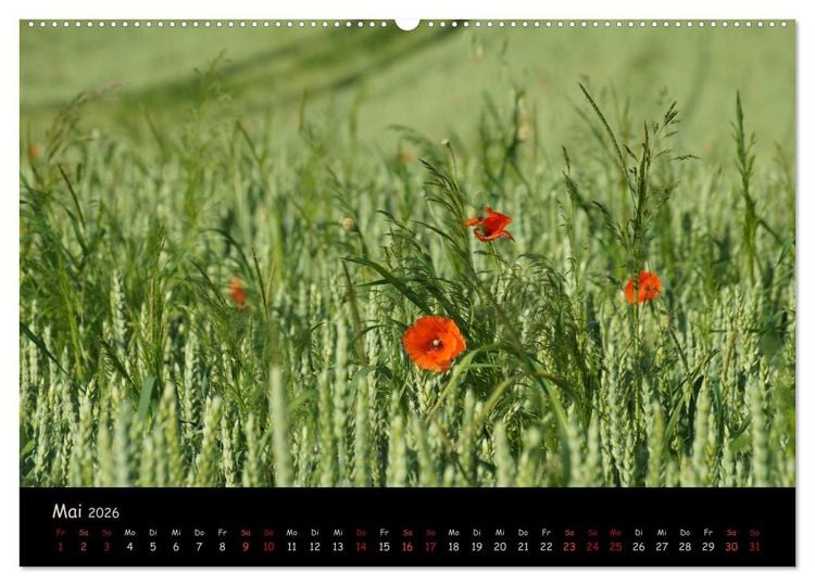 Produktbild: Just Mohn (hochwertiger Premium Wandkalender 2026 DIN A2 quer), Kunstdruck in Hochglanz