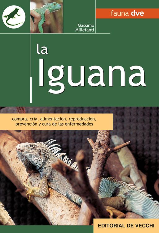 Produktbild: La iguana