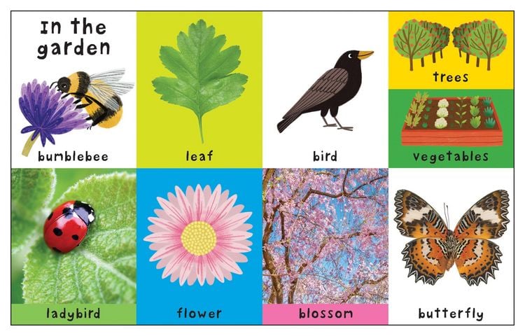 Produktbild: First 100 Nature Words