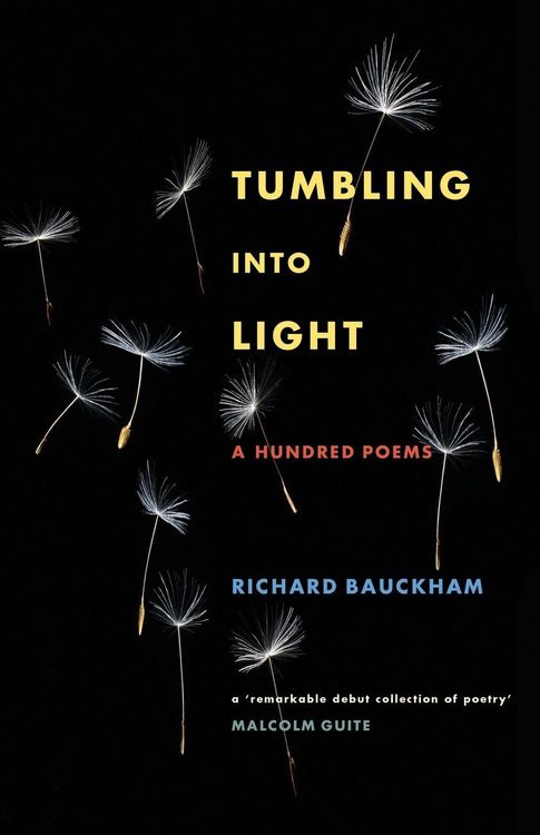 Produktbild: Tumbling Into Light