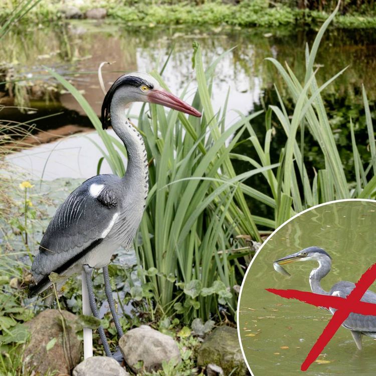 Produktbild: Gardigo Reiher-Attrappe Vogelvertreiber Funktionsart Abschreckung 1St.