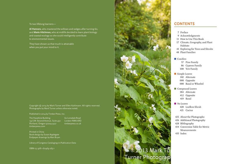 Produktbild: Trees and Shrubs of the Pacific Northwest
