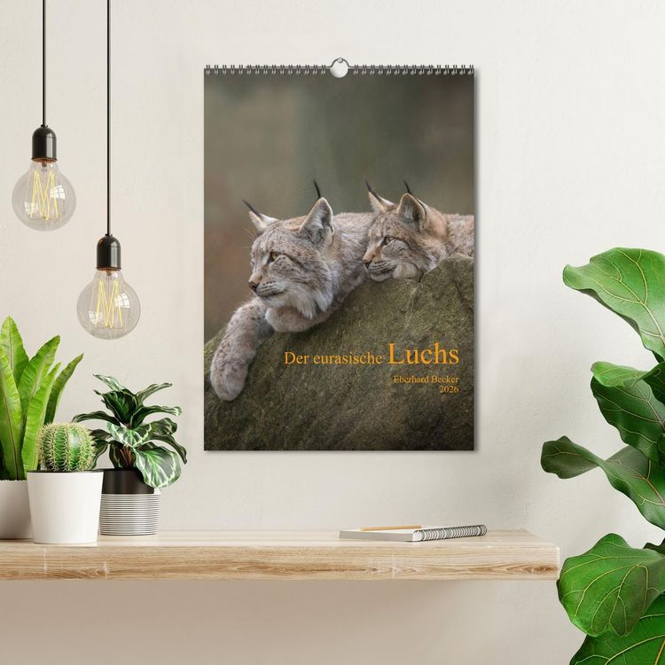 Produktbild: Der eurasische Luchs (Wandkalender 2026 DIN A3 hoch), CALVENDO Monatskalender