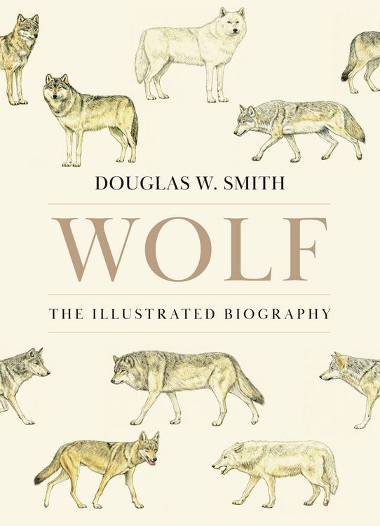 Produktbild: Wolf