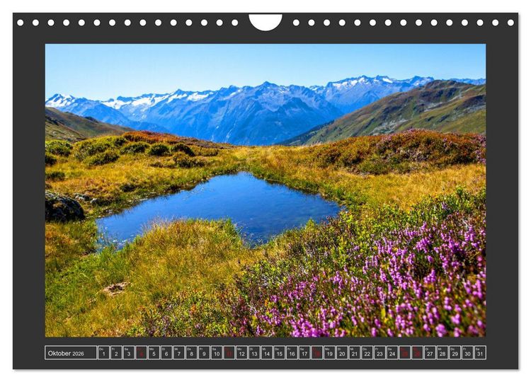 Produktbild: Gr&uuml;&szlig;e aus Wald (Wandkalender 2026 DIN A4 quer), CALVENDO Monatskalender