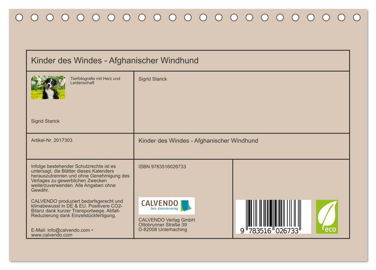 Produktbild: Kinder des Windes - Afghanischer Windhund (Tischkalender 2026 DIN A5 quer), CALVENDO Monatskalender