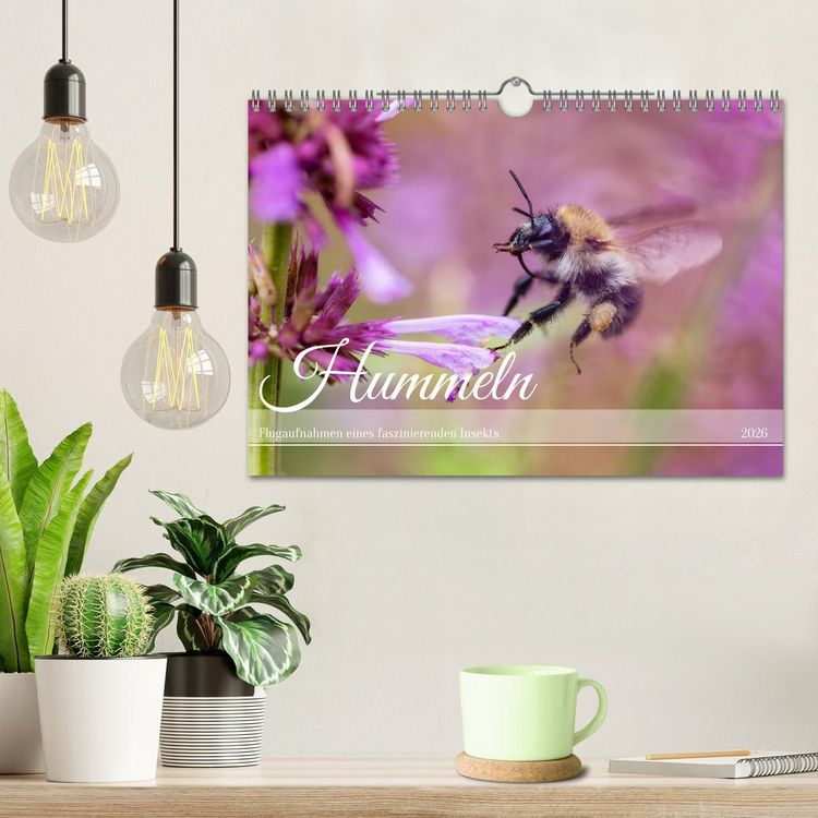 Produktbild: Hummeln - Flugaufnahmen eines faszinierenden Insekts (Wandkalender 2026 DIN A4 quer), CALVENDO Monatskalender