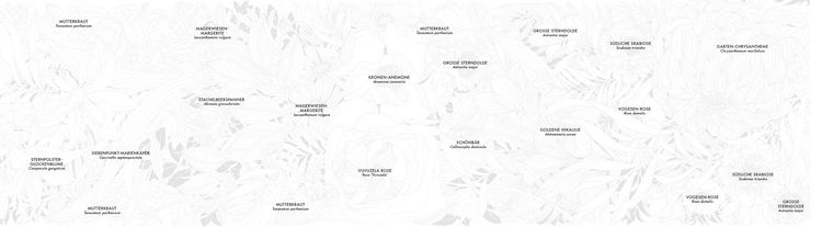 Produktbild: Bl&uuml;ten-Panorama | Atemberaubendes Blumen-Leporello zum Ausmalen und Aufstellen