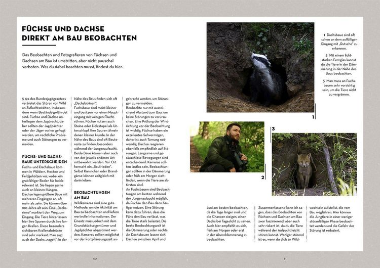Produktbild: Tiere beobachten mit dem Wildtierguide