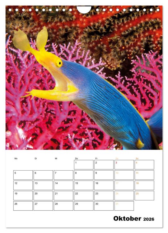 Produktbild: Farbrausch unter Wasser: Fische am Riff (Wandkalender 2026 DIN A4 hoch), CALVENDO Monatskalender