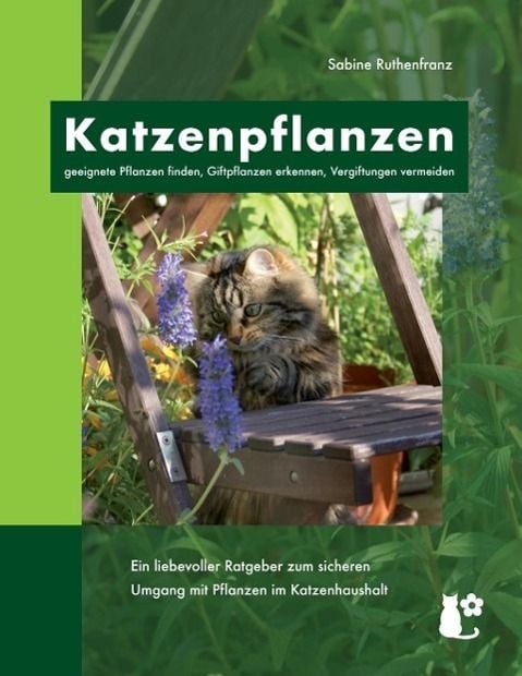 Produktbild: Katzenpflanzen