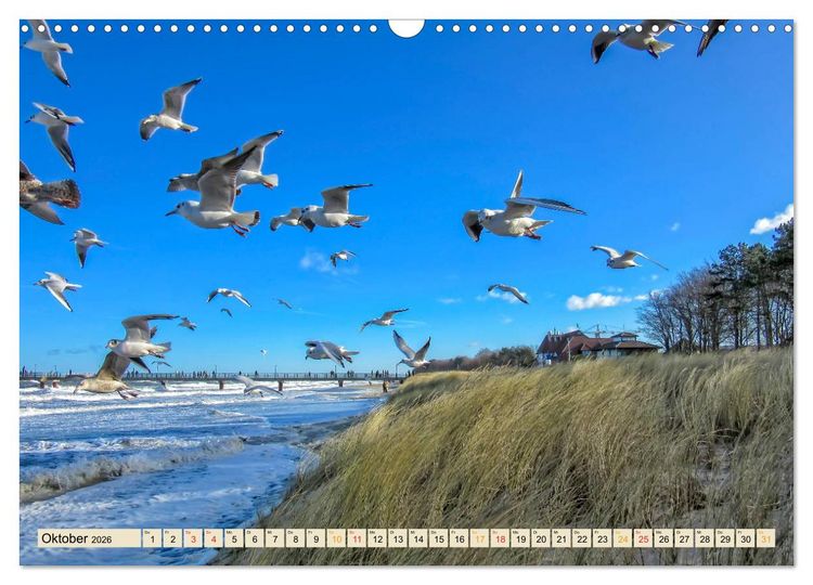 Produktbild: Reise durch Deutschland - Mecklenburg-Vorpommern (Wandkalender 2026 DIN A3 quer), CALVENDO Monatskalender