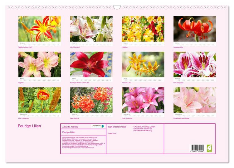 Produktbild: Feurige Lilien (Wandkalender 2026 DIN A2 quer), CALVENDO Monatskalender