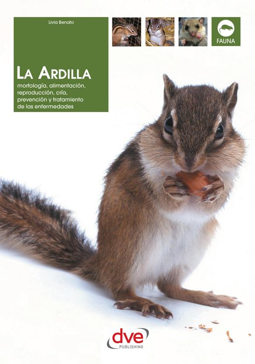 Produktbild: La ardilla
