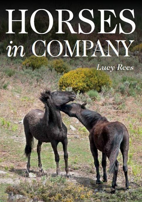 Produktbild: Horses in Company