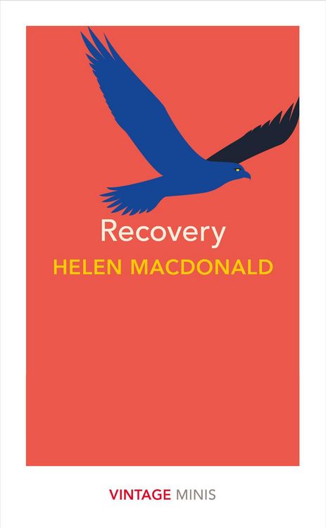 Produktbild: Recovery