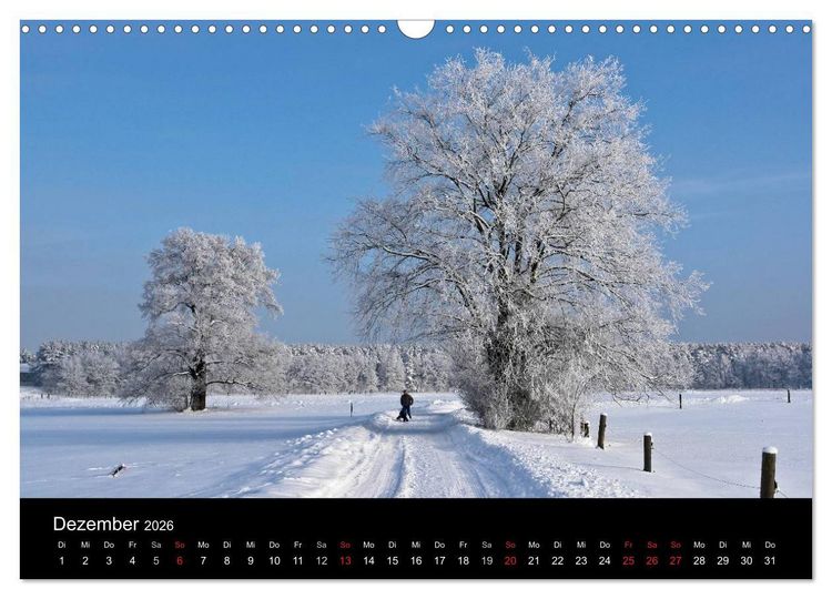 Produktbild: Baum-Variationen (Wandkalender 2026 DIN A3 quer), CALVENDO Monatskalender