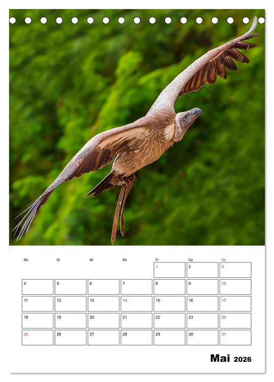 Produktbild: Raub- und Greifv&ouml;gel im Flug (Tischkalender 2026 DIN A5 hoch), CALVENDO Monatskalender