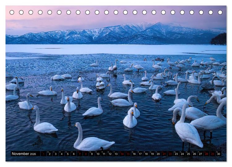 Produktbild: Kaleidoskop Japan (Tischkalender 2026 DIN A5 quer), CALVENDO Monatskalender