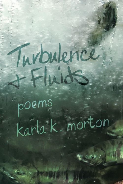 Produktbild: Turbulence & Fluids