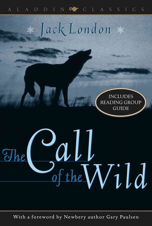 Produktbild: The Call of the Wild