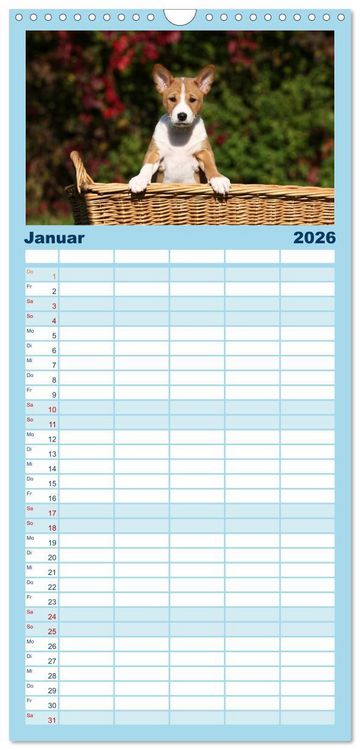 Produktbild: Familienplaner 2026 - Welpen - Puppies mit 5 Spalten (Wandkalender, 21 x 45 cm) CALVENDO