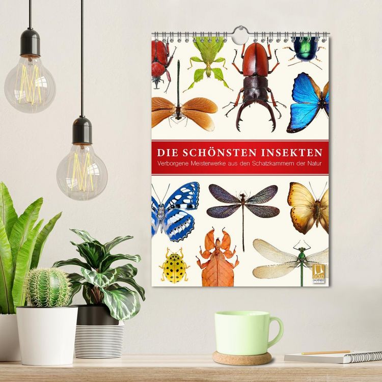 Produktbild: Die sch&ouml;nsten Insekten (Wandkalender 2026 DIN A4 hoch), CALVENDO Monatskalender