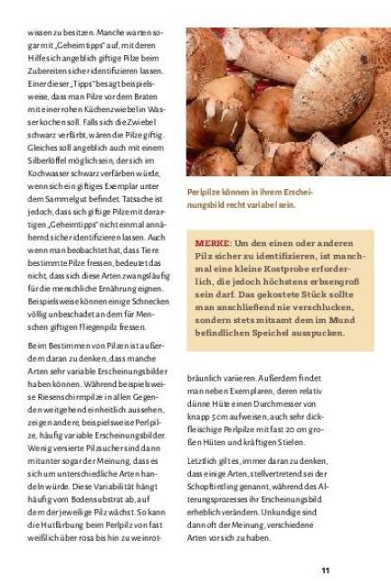 Produktbild: Pilze bestimmen - Der kleine Pilzf&uuml;hrer f&uuml;r Einsteiger und Fortgeschrittene