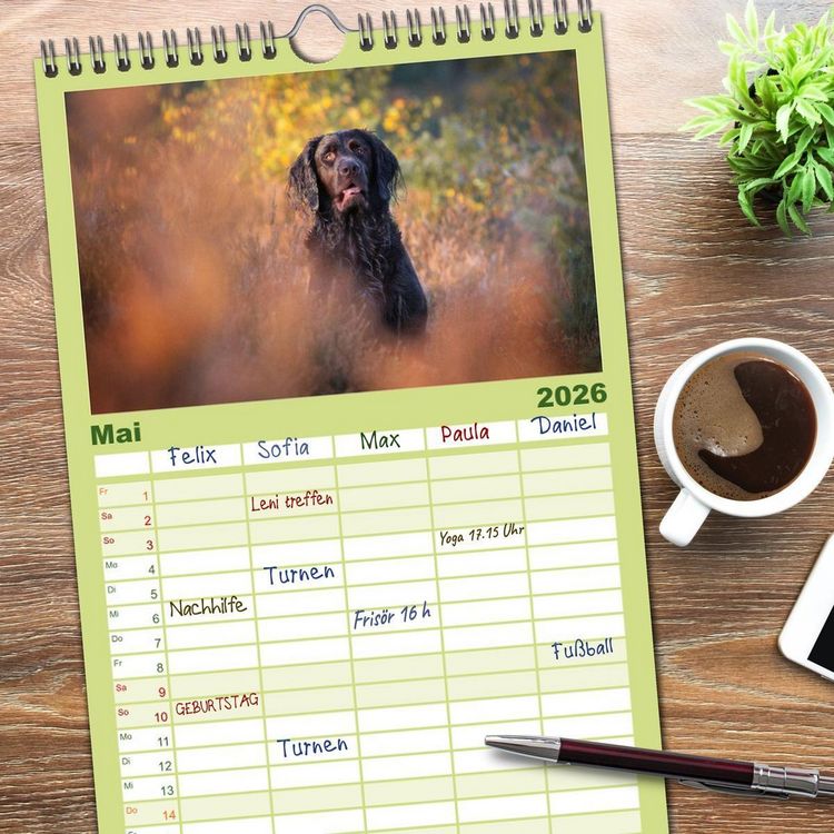 Produktbild: Familienplaner 2026 - Jagdhund im Portrait - Deutsch Langhaar mit 5 Spalten (Wandkalender, 21 x 45 cm) CALVENDO