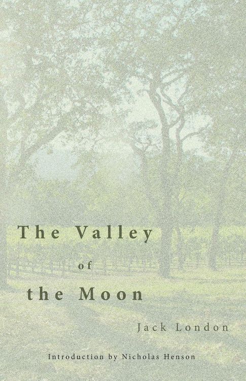 Produktbild: The Valley of the Moon
