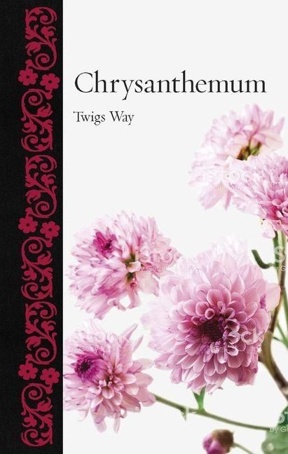Produktbild: Chrysanthemum