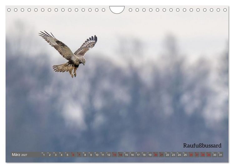 Produktbild: Vogelfotografie aus dem Norden (Wandkalender 2027 DIN A4 quer), CALVENDO Monatskalender