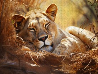 Produktbild: CALVENDO Puzzle Ein Motiv aus dem Kalender "Wenn sie schlafen" | 2000 Teile Lege-Gr&ouml;&szlig;e 90x67cm Foto-Puzzle f&uuml;r gl&uuml;ckliche Stunden