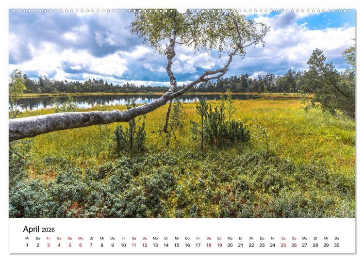 Produktbild: Schwarzwald, Seen und Hochmoore (hochwertiger Premium Wandkalender 2026 DIN A2 quer), Kunstdruck in Hochglanz