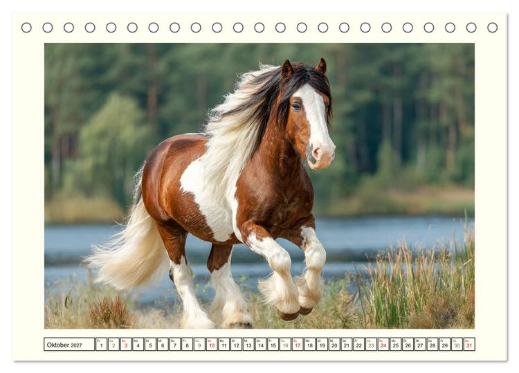 Produktbild: Irlands Pferde. Irish Tinker zwischen Weiden, Wasser und Wald (Tischkalender 2027 DIN A5 quer), CALVENDO Monatskalender