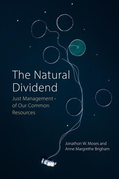 Produktbild: Natural Dividend