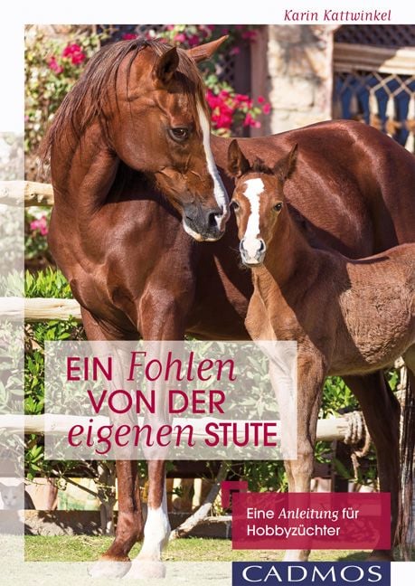 Produktbild: Ein Fohlen von der eigenen Stute