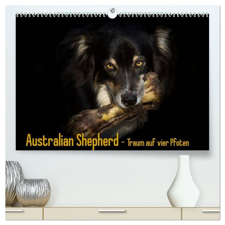 Produktbild: Australian Shepherd - Traum auf vier Pfoten (hochwertiger Premium Wandkalender 2027 DIN A2 quer), Kunstdruck in Hochglanz