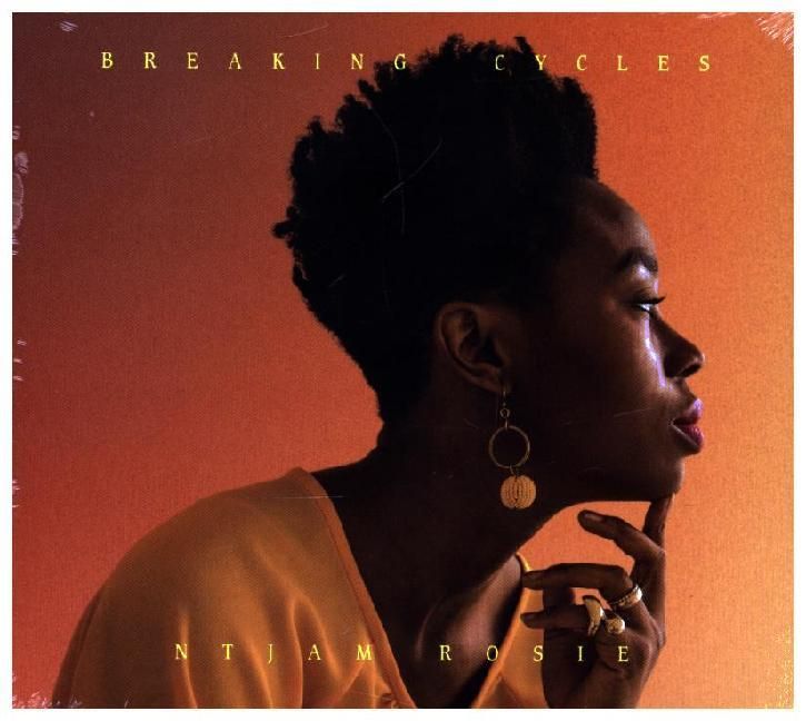 Produktbild: Breaking Cycles